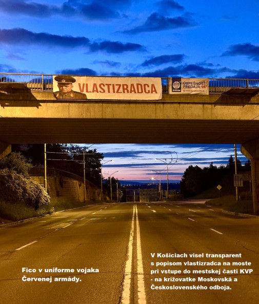 Vlastizradca